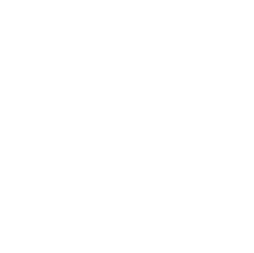 villahappybusteni